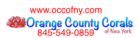 occ